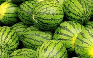 吃瓜网每日大赛 每日必吃,每日必吃，瓜界盛宴等你来尝！